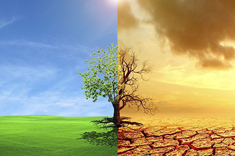 A natureza em dois estágios: natureza viva e seca