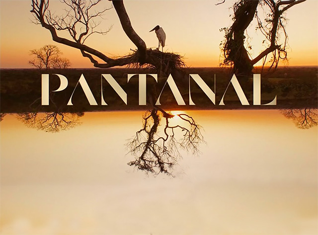 Logotipo novela Pantanal