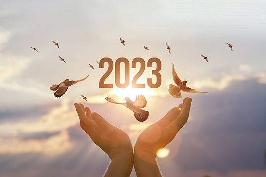 O conceito de um novo ano de 2023 com esperança de vitória.